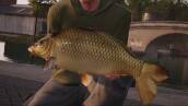 Скриншот №2 из Fishing Sim World: Quad Lake Pass (PC)