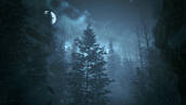 Скриншот №1 из Kholat (PC)
