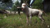 Скриншот №1 из Kingdom Come: Deliverance - A Woman's Lot (PC)