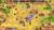 Скриншот №7 из Royal Defense 2 (PC)