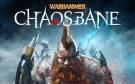 Скриншот №0 из Warhammer: Chaosbane (retail) (PC)