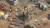 Скриншот №13 из Sudden Strike 4 Complete Collection (PC)