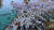 Скриншот №3 из Medieval Kingdom Wars (PC)