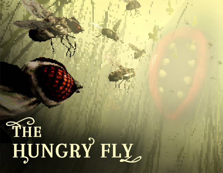 The Hungry Fly (PC)