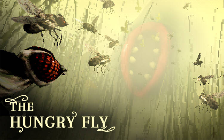 Скриншот №0 из The Hungry Fly (PC)