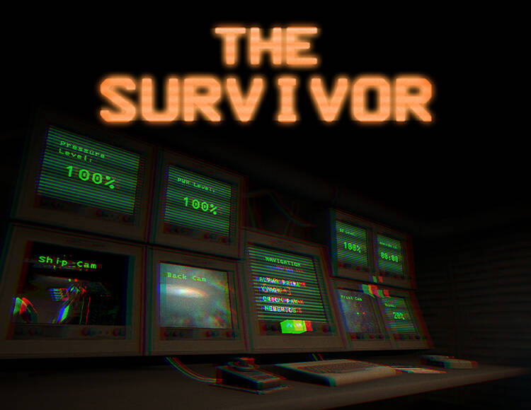 

The Survivor (PC)