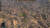 Скриншот №7 из Knights of the Crusades (Ранний доступ) (PC)