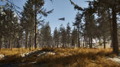 Скриншот №1 из Hauntsville (PC)