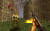 Скриншот №7 из Turok (PC)