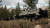Скриншот №4 из Squad (PC)