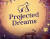 Скриншот №1 из Projected Dreams (PC)