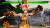 Скриншот №3 из Samurai Shodown - DLC Character "CHAM CHAM" (PC)