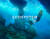 Скриншот №1 из Ecosystem (PC)
