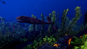 Скриншот №2 из Ecosystem (PC)