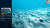Скриншот №5 из Ecosystem (PC)