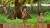 Скриншот №7 из The Preposterous Awesomeness of Everything (PC)