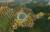 Скриншот №1 из Sid Meier’s Civilization V: Civilization Pack – Babylon (PC)