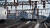 Скриншот №11 из Train Sim World 6: Special Edition (PC)