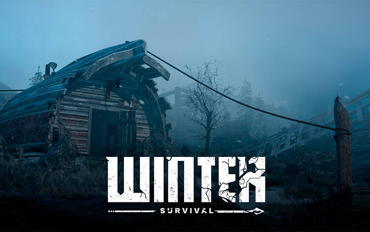 Скриншот №0 из Winter Survival (PC)
