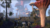 Скриншот №7 из The Elder Scrolls Online: Morrowind (PC)