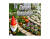 Скриншот №1 из Garden Simulator (Nintendo Switch - Цифровая версия) (EU)