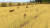 Скриншот №3 из Forgotten Fields (PC)