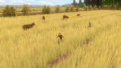 Скриншот №3 из Forgotten Fields (PC)
