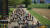 Pro Cycling Manager 26 (PC) Скриншот №8 Скриншот №8 из Pro Cycling Manager 26 (PC)