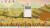 Feather Land (PC) Скриншот №1 Скриншот №1 из Feather Land (PC)