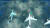 Zero Gunner 2 (PC) Скриншот №3 Скриншот №3 из Zero Gunner 2 (PC)