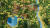 Settlement Survival (PC) Скриншот №2 Скриншот №2 из Settlement Survival (PC)