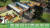 Animal Shelter (PC) Скриншот №4 Скриншот №4 из Animal Shelter (PC)