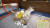 Animal Shelter (PC) Скриншот №13 Скриншот №13 из Animal Shelter (PC)