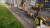 Animal Shelter (PC) Скриншот №17 Скриншот №17 из Animal Shelter (PC)