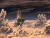 The Whispered World Special Edition (PC) Скриншот №10 Скриншот №10 из The Whispered World Special Edition (PC)