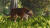 Planet Zoo 2 (PC) Скриншот №5 Скриншот №5 из Planet Zoo 2 (PC)