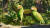 Planet Zoo 2 (PC) Скриншот №3 Скриншот №3 из Planet Zoo 2 (PC)